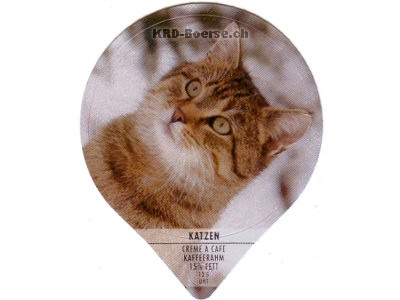 Serie PS 31/94 B "Katzen", Gastro
