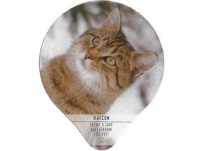 Serie PS 31/94 C \"Katzen\", Gastro