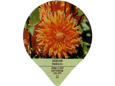 Serie PS 44/94 "Dahlien", Gastro